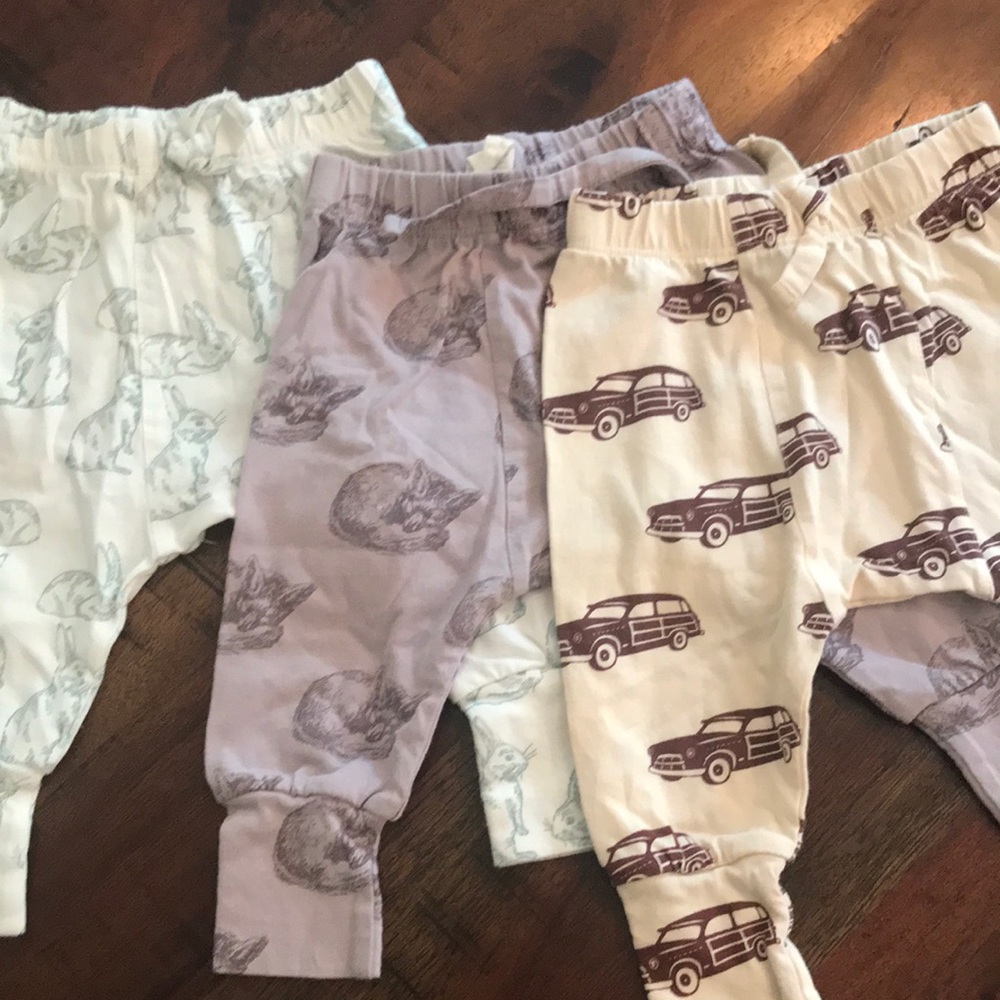 Kate Quinn Organic Cotton Panda Pants Trio